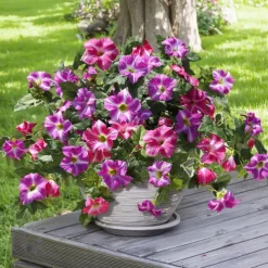 1 Bundle Artificial Flowers for Outdoors Spring Faux Morning Glory Look Real Silk Flowers for Outside Planter UV Resistant Fake Flowers for Home Garden Balcony Yard Porch Deco