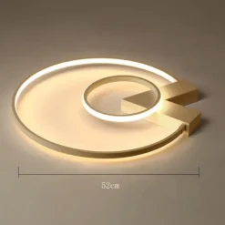 52 cm Ceiling Light LED Dimmable Circle Design Flush Mount Light Metal Layered Modern Style Stylish Painted Finishes 220-240V