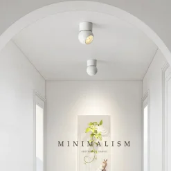 6.5 cm Dimmable Ceiling Lights Metal Artistic Style Classic Stylish Painted Finishes Contemporary Modern 110-240 V