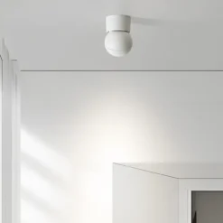 6.5 cm Dimmable Ceiling Lights Metal Artistic Style Classic Stylish Painted Finishes Contemporary Modern 110-240 V