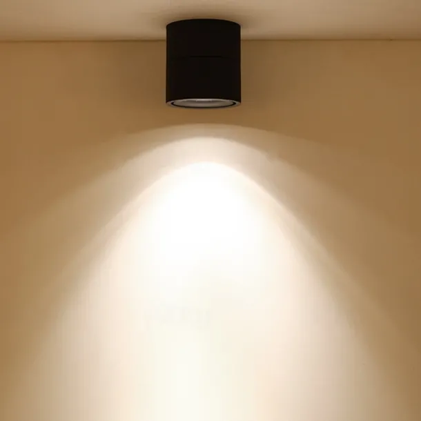 10 cm Flush Mount Ceiling Light LED Spotlight Metal Painted Finishes Modern 220-240V