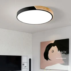 40 cm Geometric Shapes Flush Mount Lights Metal Painted Finishes LED Nordic Style 220-240V