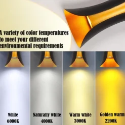 30/40 cm Plus Large Outdoor LED Wall Light 20W / 30W Various Color Temperature Lighting Modern Black Gold Courtyard Wall Lamp Suitable for Terrace Garage Balcony AC85-265V