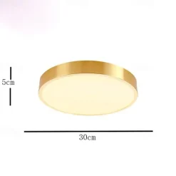 30 cm Single Design Flush Mount Lights Metal Brass Modern 220-240V