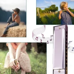 10 Holes Harmonica Diatonic Blues Harp Keys Mouth Organ for Blues Rock Country Folk Jazz