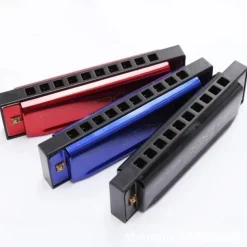 10 Holes Harmonica Diatonic Blues Harp Keys Mouth Organ for Blues Rock Country Folk Jazz