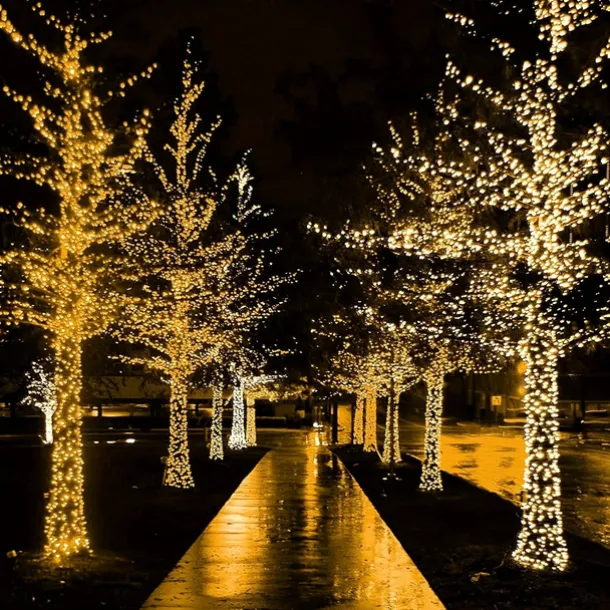 1000 LED (328Ft) Christmas Lights Indoor Outdoor, Christmas String Tree Lights Indoor Green Wire, Indoor and Outside Fairy Light for Christmas Tree, Patio, Elegant Wedding Party Reception