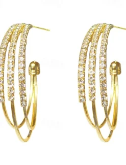 1 Pair Hoop Earrings For Women's Birthday Party Evening Gift Alloy Classic Fashion