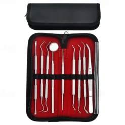 9 Pcs Set Stainless Steel Dental Cleaning Tools Oral Care Tools Dental Calculus Cleaning Dental Stains Tartar Care Tools