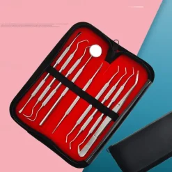 9 Pcs Set Stainless Steel Dental Cleaning Tools Oral Care Tools Dental Calculus Cleaning Dental Stains Tartar Care Tools