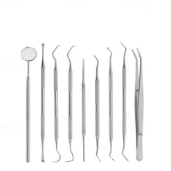 9 Pcs Set Stainless Steel Dental Cleaning Tools Oral Care Tools Dental Calculus Cleaning Dental Stains Tartar Care Tools