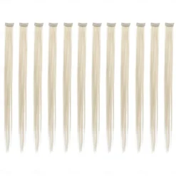 12 Pcs Straight One Color Party Highlights Clip on in Hair Extensions Colored Hair Streak Synthetic Hairpieces