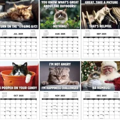 2025 Peed-Off Cats Calendar 2025 Calendar with Holidays Funny Cat Themed Gifts for Cat Lovers