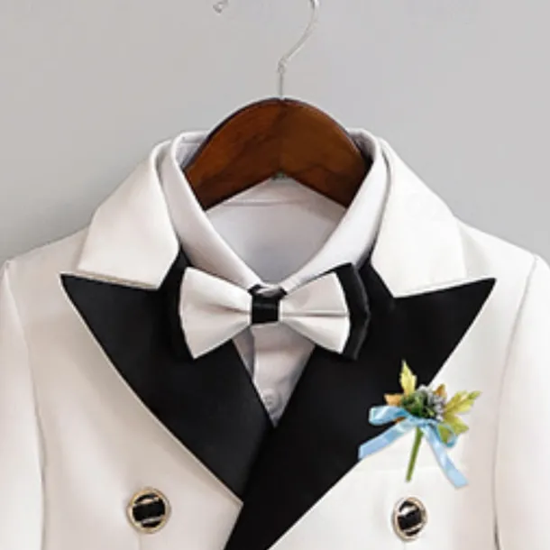 2 Pieces 5 Roots Ring Bearer Suit Boys Kids Suit Formal Suit Suit & Blazer Shirt & Pants Outdoor Casual Fashion Cool Solid Color Black White Red Cotton