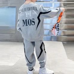 2 Pieces Kids Boys Hoodie & Pants Sweatshirt & Pants Clothing Set Outfit Letter Stripe Long Sleeve Pocket Set School Sports Cool Daily Spring Fall 7-13 Years Black Gray