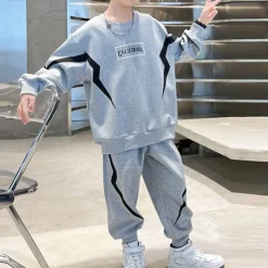 2 Pieces Kids Boys Hoodie & Pants Sweatshirt & Pants Clothing Set Outfit Letter Stripe Long Sleeve Pocket Set School Sports Cool Daily Spring Fall 7-13 Years Black Gray