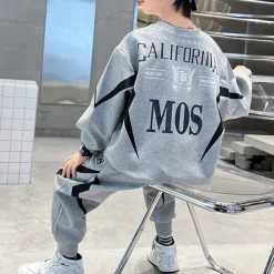2 Pieces Kids Boys Hoodie & Pants Sweatshirt & Pants Clothing Set Outfit Letter Stripe Long Sleeve Pocket Set School Sports Cool Daily Spring Fall 7-13 Years Black Gray