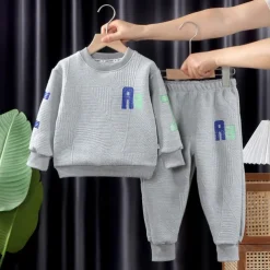 2 Pieces Kids Boys Hoodie & Sweatpants Set Clothing Set Outfit Letter Long Sleeve Crewneck Set School Sports Fashion Daily Fall Winter 7-13 Years Pink Blue Gray