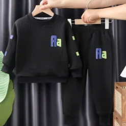 2 Pieces Kids Boys Hoodie & Sweatpants Set Clothing Set Outfit Letter Long Sleeve Crewneck Set School Sports Fashion Daily Fall Winter 7-13 Years Pink Blue Gray