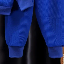 2 Pieces Kids Boys Hoodie & Sweatpants Set Clothing Set Outfit Letter Long Sleeve Crewneck Set School Sports Fashion Daily Fall Winter 7-13 Years Pink Blue Gray