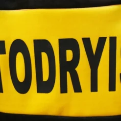 3 Pieces Kids Boys Hoodie & Pants Clothing Set Outfit Letter Long Sleeve Zipper Set Outdoor Cool Daily Winter Fall 7-13 Years Purple Yellow Red