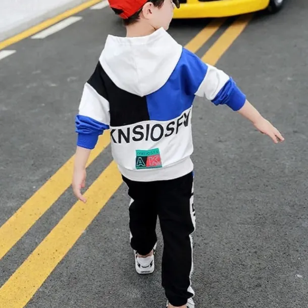 2 Pieces Kids Boys Hoodie & Pants Clothing Set Outfit Letter Long Sleeve Cotton Set Outdoor Fashion Daily Winter Fall 7-13 Years Blue Red
