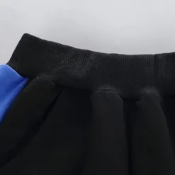 2 Pieces Kids Boys Hoodie & Pants Clothing Set Outfit Letter Long Sleeve Cotton Set Outdoor Fashion Daily Winter Fall 7-13 Years Blue Red