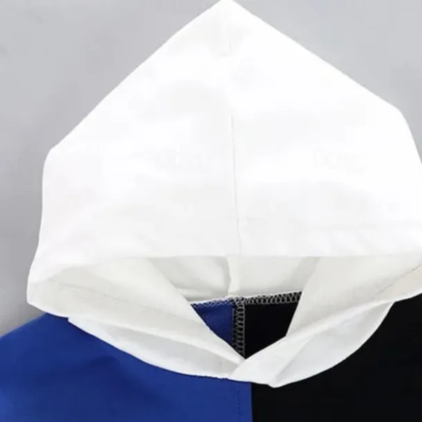 2 Pieces Kids Boys Hoodie & Pants Clothing Set Outfit Letter Long Sleeve Cotton Set Outdoor Fashion Daily Winter Fall 7-13 Years Blue Red