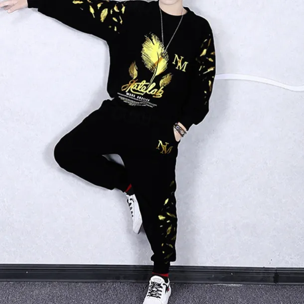 2 Pieces Kids Boys Suit Sweatshirt & Sweatpants Set Clothing Set Outfit Graphic Long Sleeve Crewneck Set Outdoor Sports Fashion Spring Fall 4 years+ Black