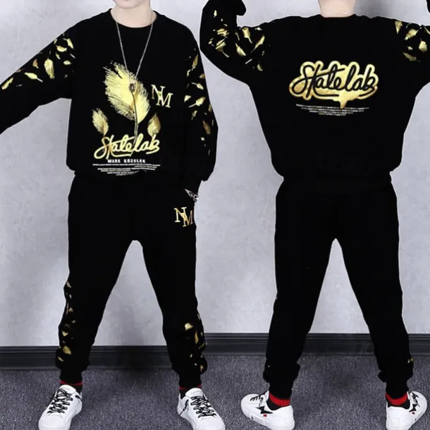 2 Pieces Kids Boys Suit Sweatshirt & Sweatpants Set Clothing Set Outfit Graphic Long Sleeve Crewneck Set Outdoor Sports Fashion Spring Fall 4 years+ Black