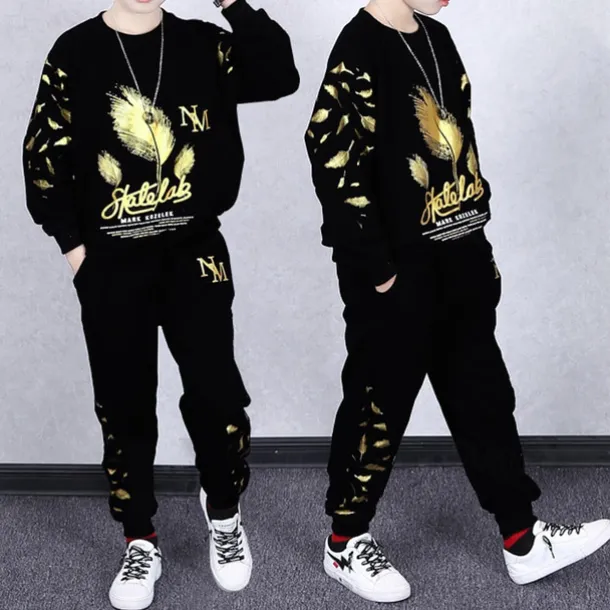 2 Pieces Kids Boys Suit Sweatshirt & Sweatpants Set Clothing Set Outfit Graphic Long Sleeve Crewneck Set Outdoor Sports Fashion Spring Fall 4 years+ Black