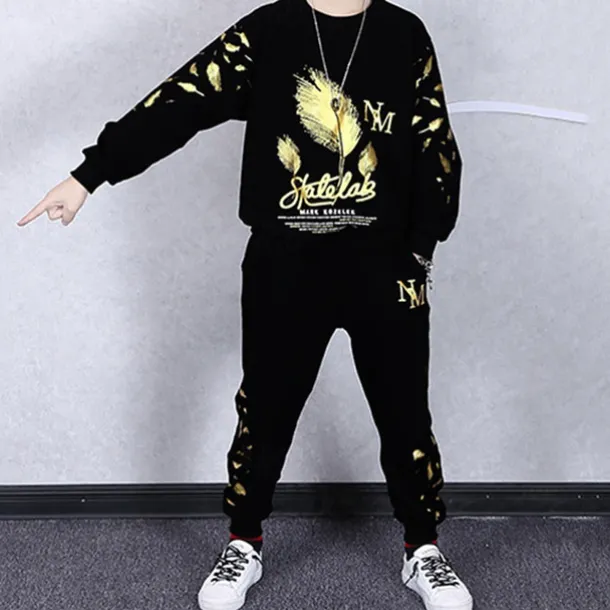 2 Pieces Kids Boys Suit Sweatshirt & Sweatpants Set Clothing Set Outfit Graphic Long Sleeve Crewneck Set Outdoor Sports Fashion Spring Fall 4 years+ Black