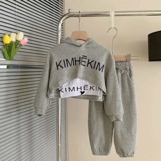 3 Pieces Kids Girls' Letter Embroidered Hoodie & Sweatpants Set Set Long Sleeve Fashion Outdoor Cotton 3-7 Years Spring Pink Gray