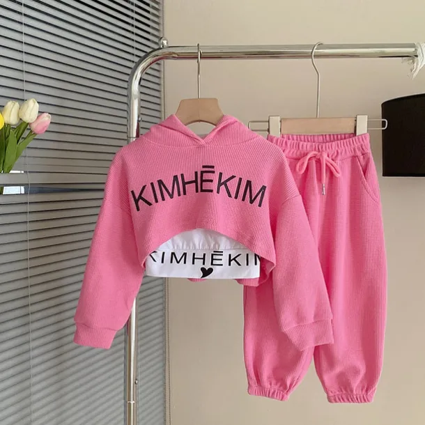 3 Pieces Kids Girls' Letter Embroidered Hoodie & Sweatpants Set Set Long Sleeve Fashion Outdoor Cotton 3-7 Years Spring Pink Gray