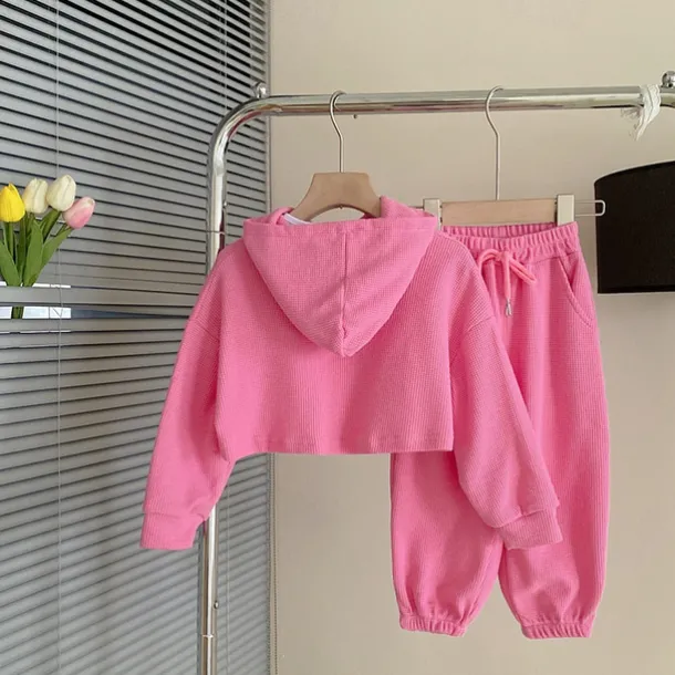 3 Pieces Kids Girls' Letter Embroidered Hoodie & Sweatpants Set Set Long Sleeve Fashion Outdoor Cotton 3-7 Years Spring Pink Gray