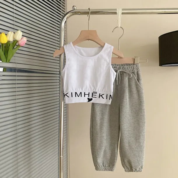 3 Pieces Kids Girls' Letter Embroidered Hoodie & Sweatpants Set Set Long Sleeve Fashion Outdoor Cotton 3-7 Years Spring Pink Gray