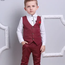 3 Pieces Ring Bearer Suit Boys Kids Suit Formal Suit Suit & Blazer Clothing Set School Formal Home Cool Gentle Plaid Print Black Wine Red Cotton