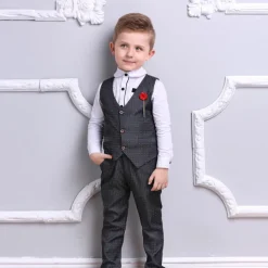 3 Pieces Ring Bearer Suit Boys Kids Suit Formal Suit Suit & Blazer Clothing Set School Formal Home Cool Gentle Plaid Print Black Wine Red Cotton