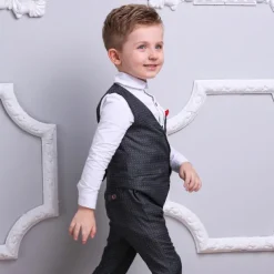 3 Pieces Ring Bearer Suit Boys Kids Suit Formal Suit Suit & Blazer Clothing Set School Formal Home Cool Gentle Plaid Print Black Wine Red Cotton
