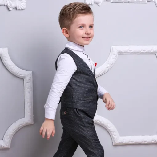 3 Pieces Ring Bearer Suit Boys Kids Suit Formal Suit Suit & Blazer Clothing Set School Formal Home Cool Gentle Plaid Print Black Wine Red Cotton