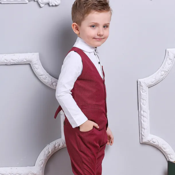 3 Pieces Ring Bearer Suit Boys Kids Suit Formal Suit Suit & Blazer Clothing Set School Formal Home Cool Gentle Plaid Print Black Wine Red Cotton