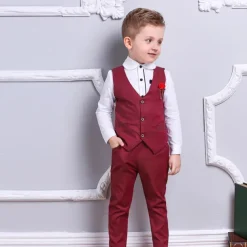 3 Pieces Ring Bearer Suit Boys Kids Suit Formal Suit Suit & Blazer Clothing Set School Formal Home Cool Gentle Plaid Print Black Wine Red Cotton