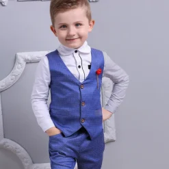 3 Pieces Ring Bearer Suit Boys Kids Suit Formal Suit Suit & Blazer Clothing Set School Formal Home Cool Gentle Plaid Print Black Wine Red Cotton