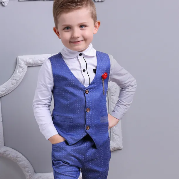 3 Pieces Ring Bearer Suit Boys Kids Suit Formal Suit Suit & Blazer Clothing Set School Formal Home Cool Gentle Plaid Print Black Wine Red Cotton