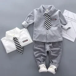 2 Pieces Ring Bearer Suit Boys Kids Shirt & Pants Clothing Set Outdoor Vacation Casual Fashion Casual Plaid Stripe White Gray Cotton
