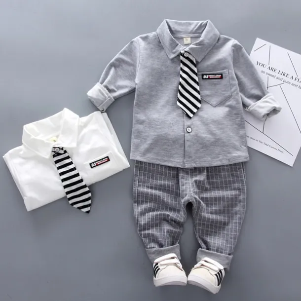 2 Pieces Ring Bearer Suit Boys Kids Shirt & Pants Clothing Set Outdoor Vacation Casual Fashion Casual Plaid Stripe White Gray Cotton