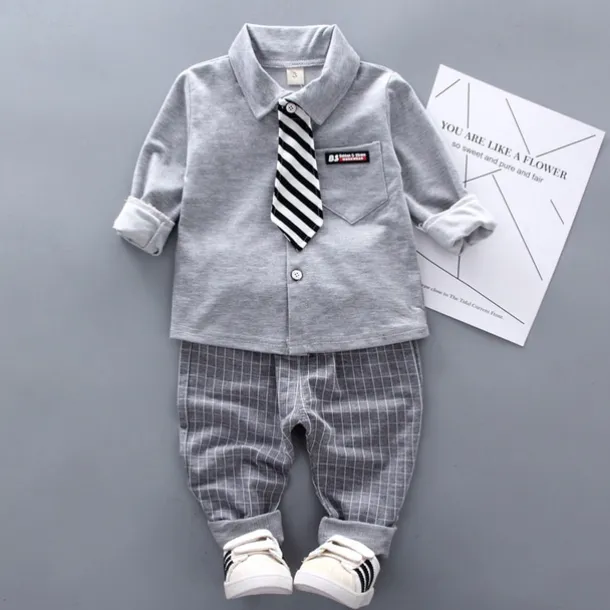 2 Pieces Ring Bearer Suit Boys Kids Shirt & Pants Clothing Set Outdoor Vacation Casual Fashion Casual Plaid Stripe White Gray Cotton
