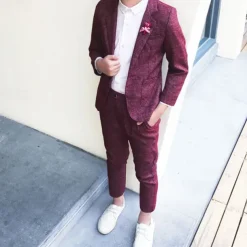 2 Pieces Ring Bearer Suit Boys Kids Suit Formal Suit Suit & Blazer Clothing Set School Formal Outdoor Fashion Cool Gentle Solid Color Wine Dusty Blue Green Cotton