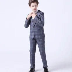3 Pieces Ring Bearer Suit Boys Kids Toddler Suit Formal Suit Suit & Blazer Pants Set Formal Set Party Special Occasion Vintage Fashion Formal Plaid Bow Red Blue Gray Cotton