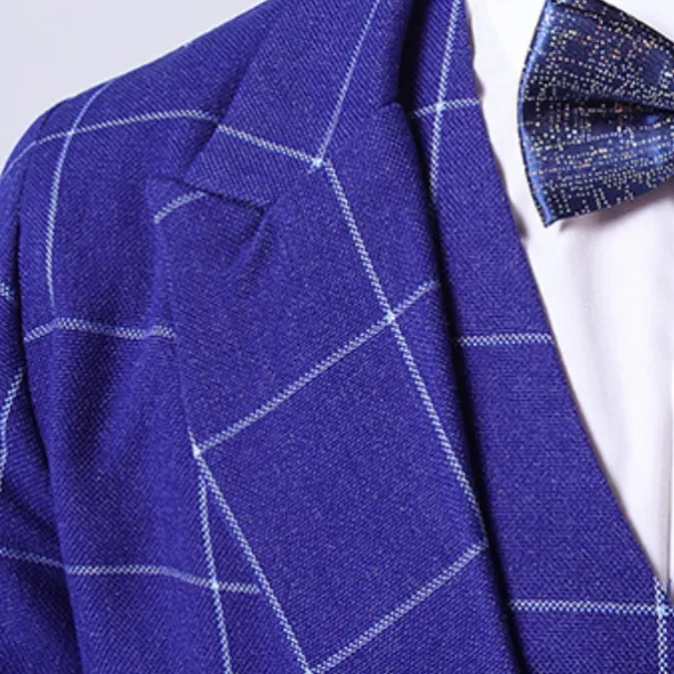 3 Pieces Ring Bearer Suit Boys Kids Toddler Suit Formal Suit Suit & Blazer Pants Set Formal Set Party Special Occasion Vintage Fashion Formal Plaid Bow Red Blue Gray Cotton